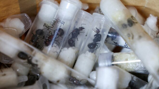 κένυα-δικαστήριο-καταδίκασε-4-ανθρώπο-563599429