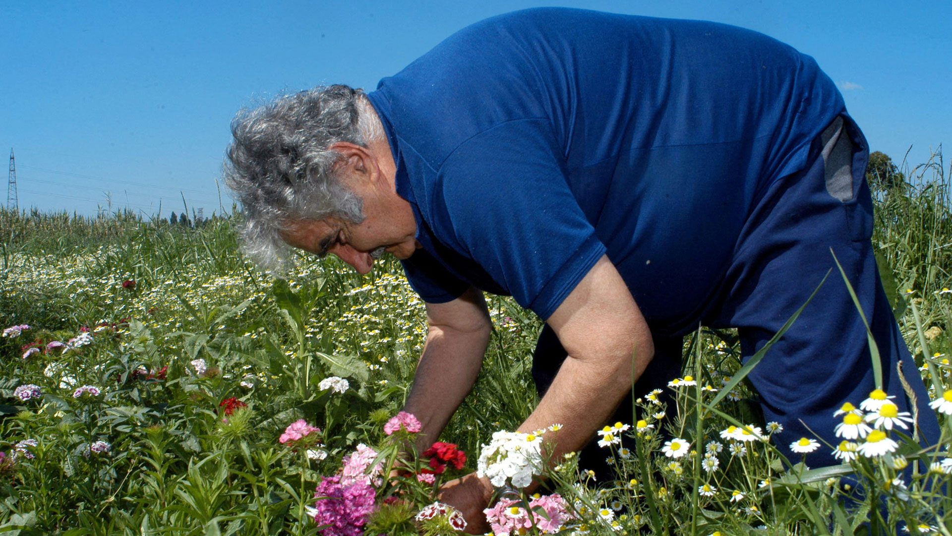 Χοσέ Μουχίκα: Πέθανε σε ηλικία 89 ετών ο «φτωχότερος πρόεδρος του κόσμου»-3