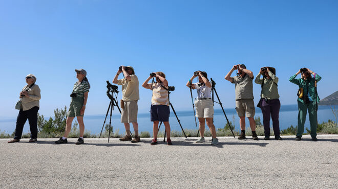 για-παρατήρηση-στην-χαραμίδα-563614195