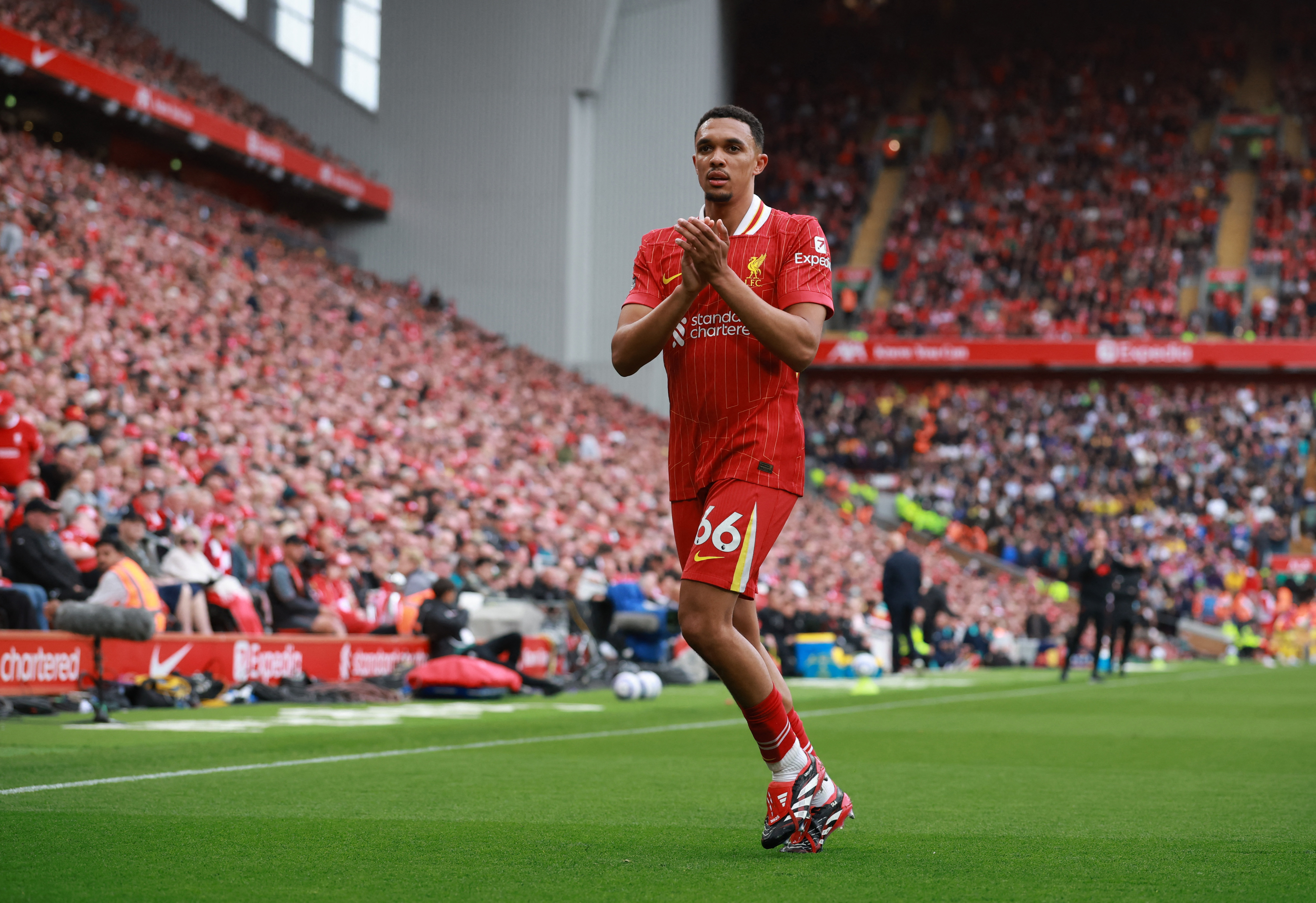 Το γλυκό νιαούρισμα των μαύρων γάτων-2