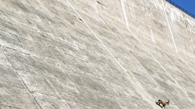 ικανότητες-αναρρίχησης-563616421