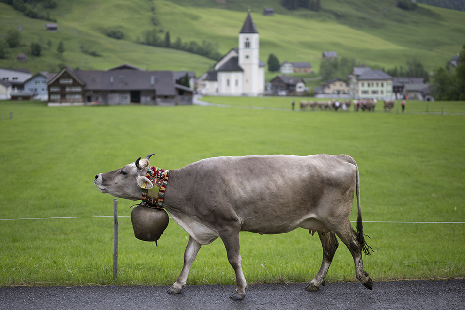 Ερωτας και θάνατος-1
