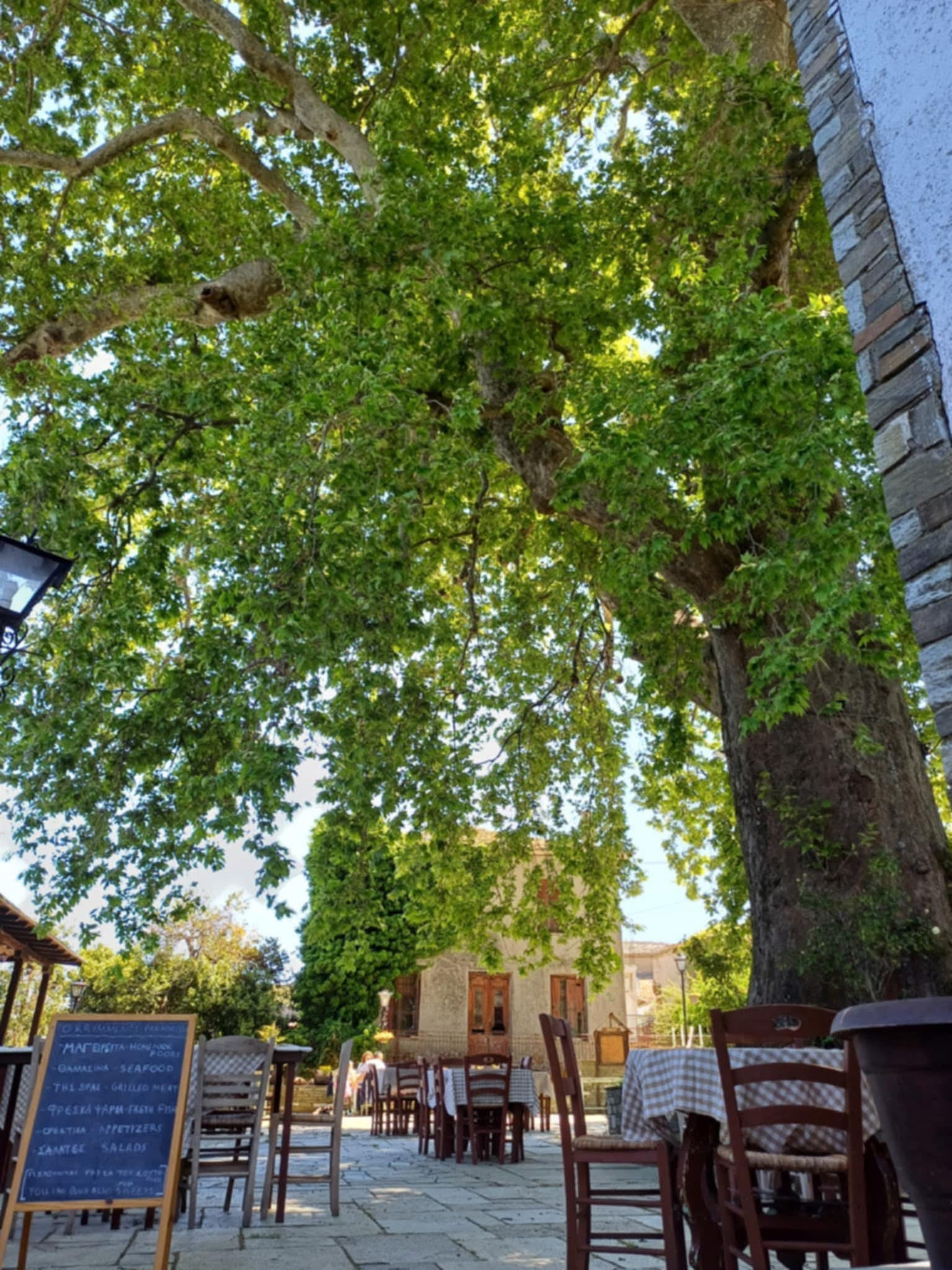 Καλαμάκι Πηλίου: Ο πλάτανος-μνημείο-2