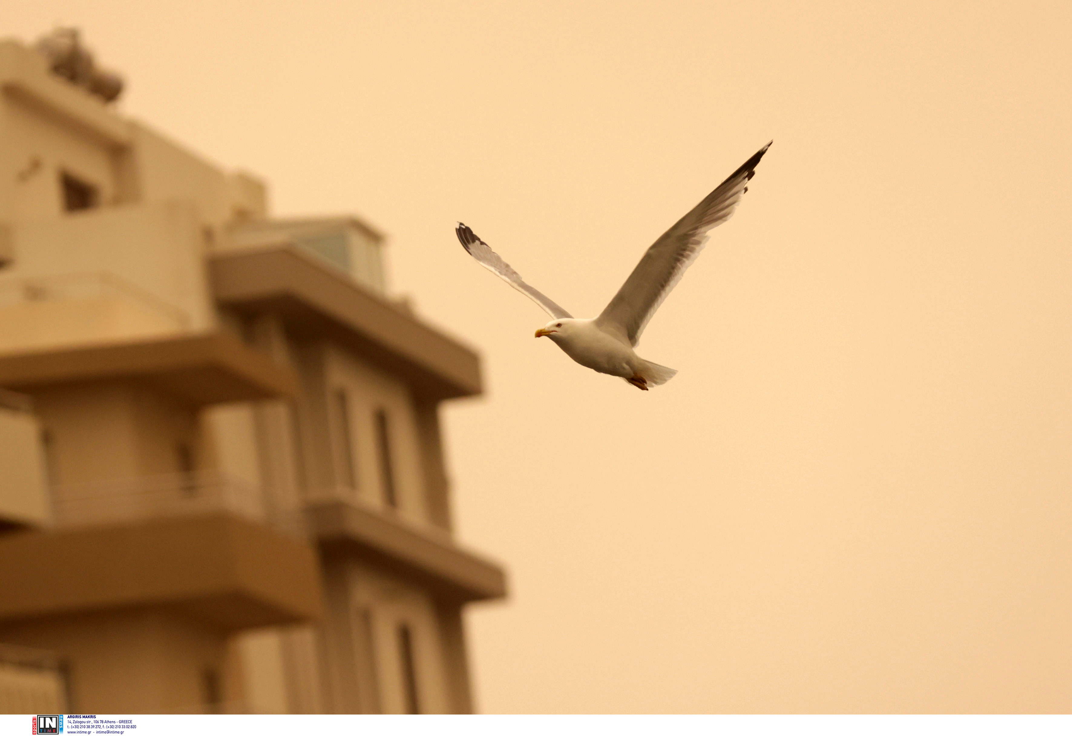 Σκηνικό… Dune στην Κρήτη: Η αφρικανική σκόνη σκέπασε το νησί-2