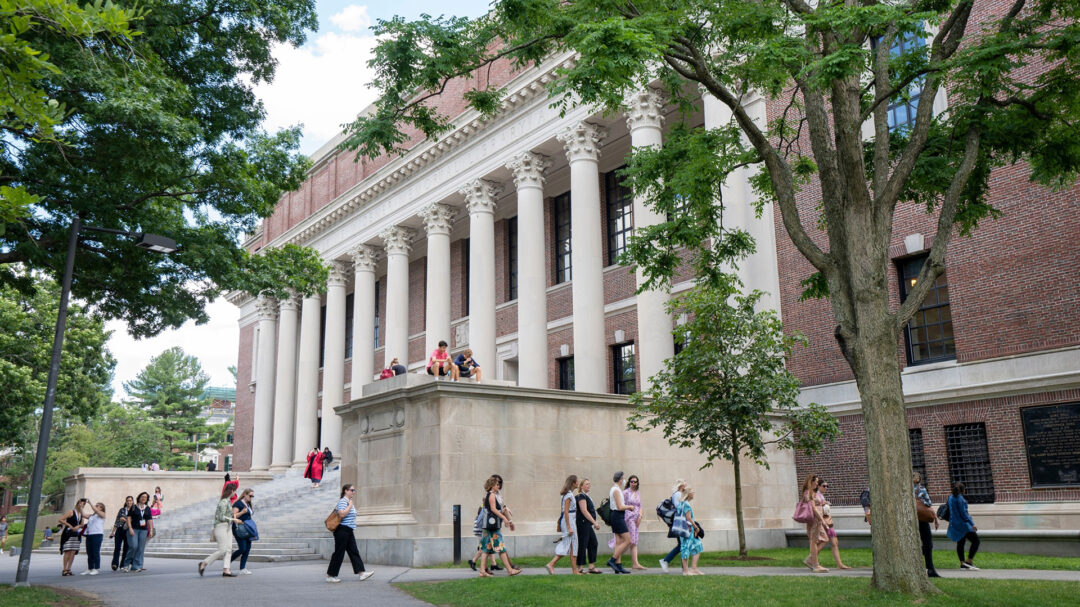 εμείς-είμαστε-οι-παράπλευρες-απώλει-563631088