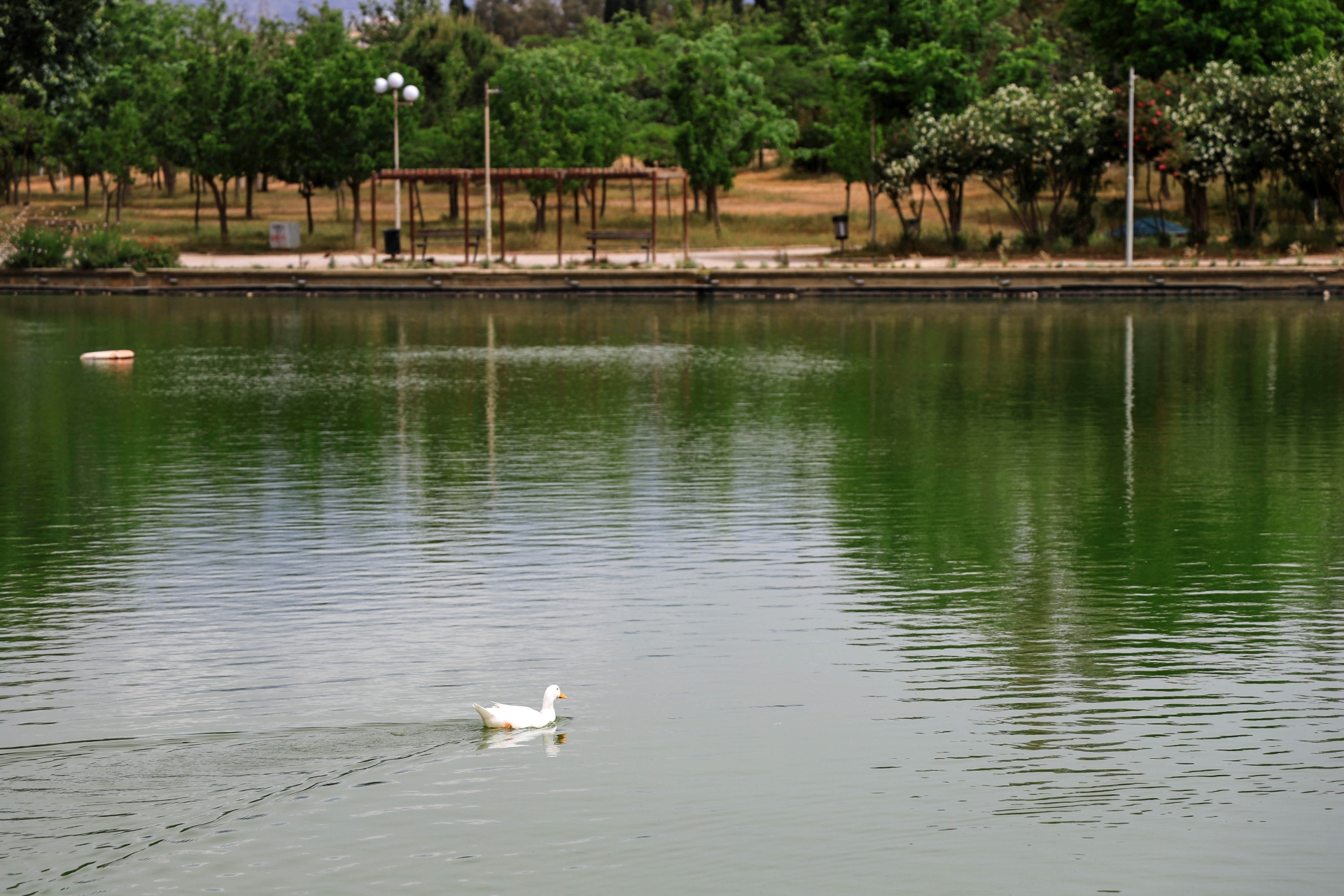 Πάρκο Τρίτση: «Διαμάντι» δύο ταχυτήτων-17