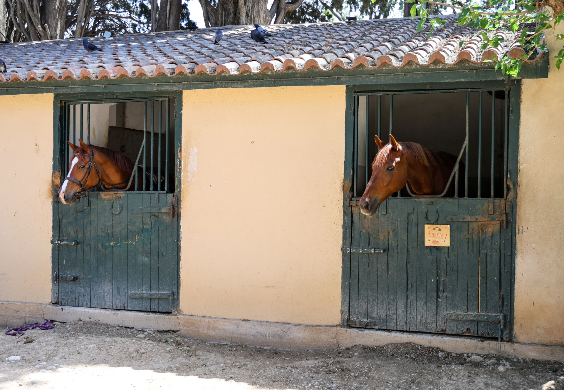 Πάρκο Τρίτση: «Διαμάντι» δύο ταχυτήτων-4