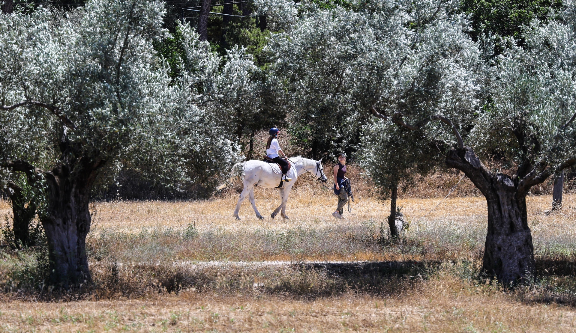 Πάρκο Τρίτση: «Διαμάντι» δύο ταχυτήτων-5