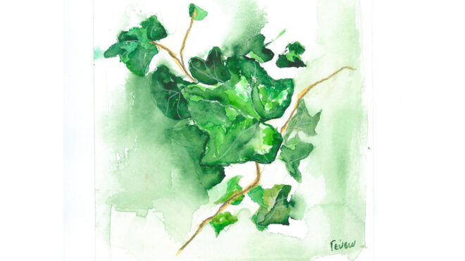 πού-βγαίνουμε-σήμερα-τριτη-προτάσεις-563621647