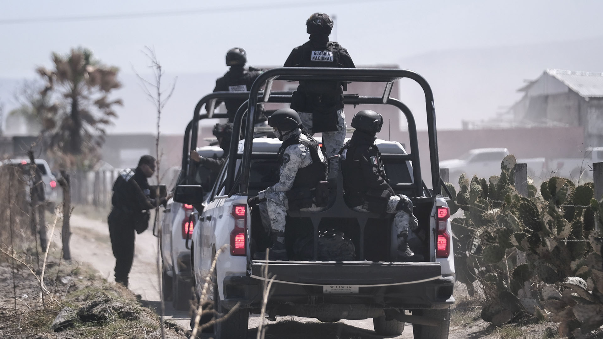 Μεξικό: Η σκοτεινή πλευρά της online δόξας, τα καρτέλ και η μάστιγα της έμφυλης βίας-3