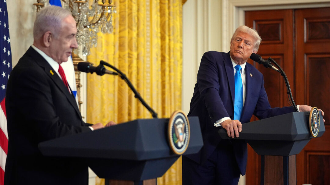 ντάλια-σάιντλιν-ο-τερματισμός-του-πο-563624212