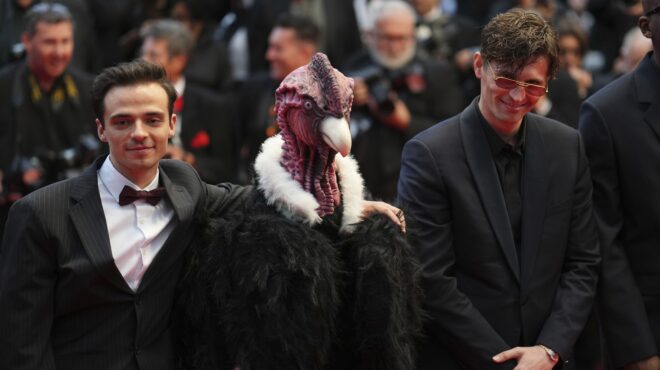 τι-γυρεύει-ένας-κόνδορας-στο-κόκκινο-χ-563619784