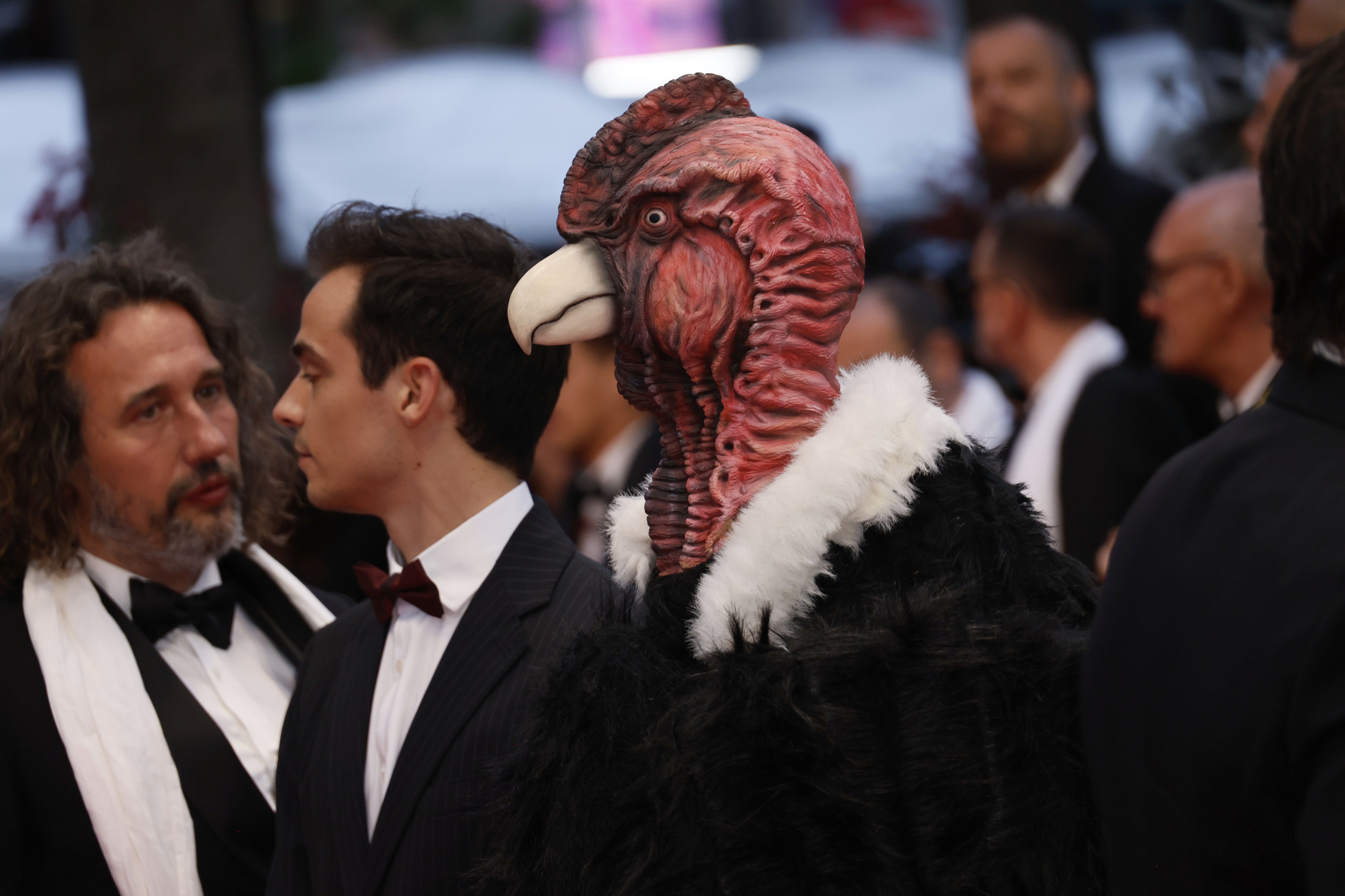 Τι γυρεύει ένας κόνδορας στο κόκκινο χαλί των Καννών-2