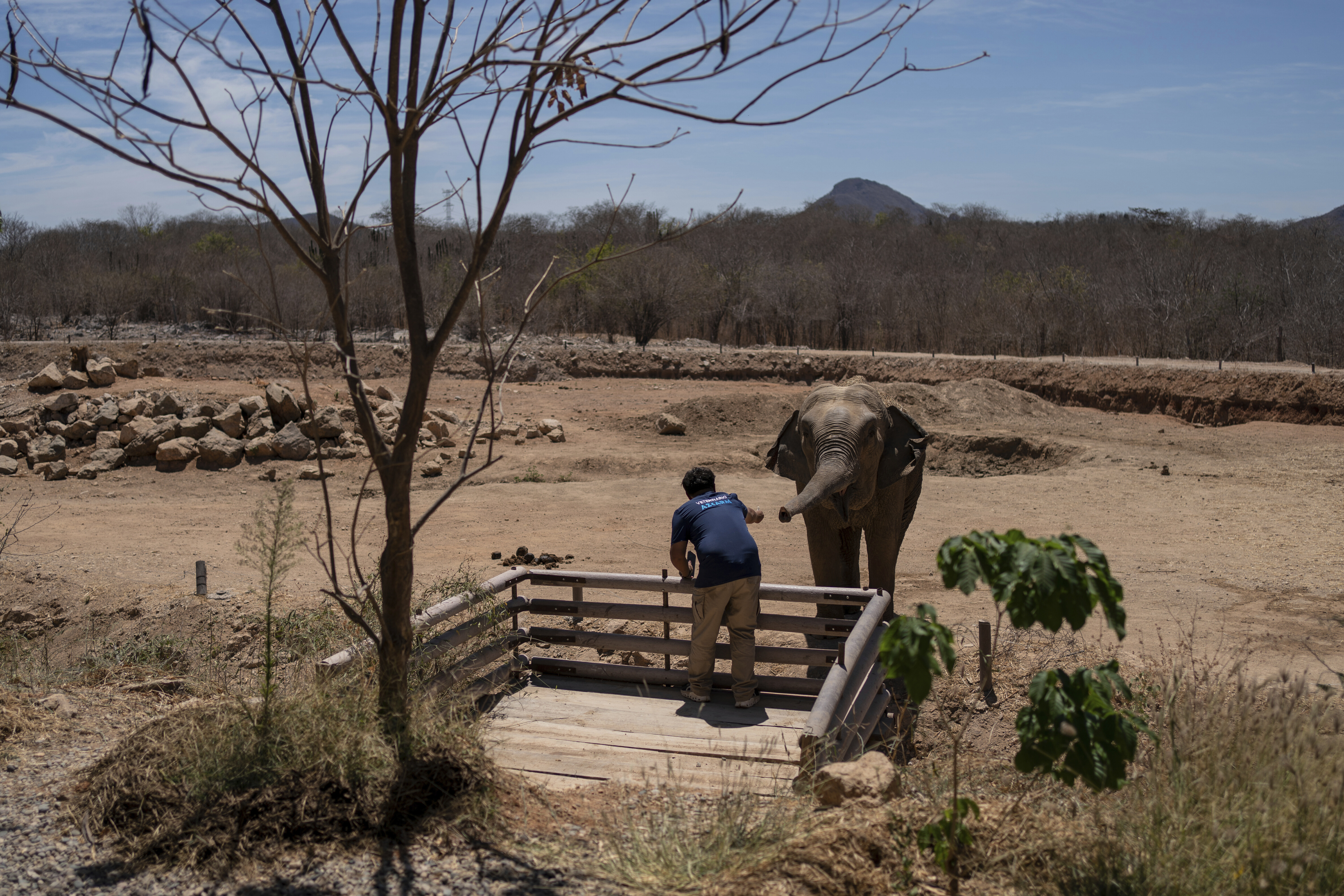 Επιχείρηση «ασφαλείας» για τα εξωτικά ζώα των καρτέλ του Μεξικού-9