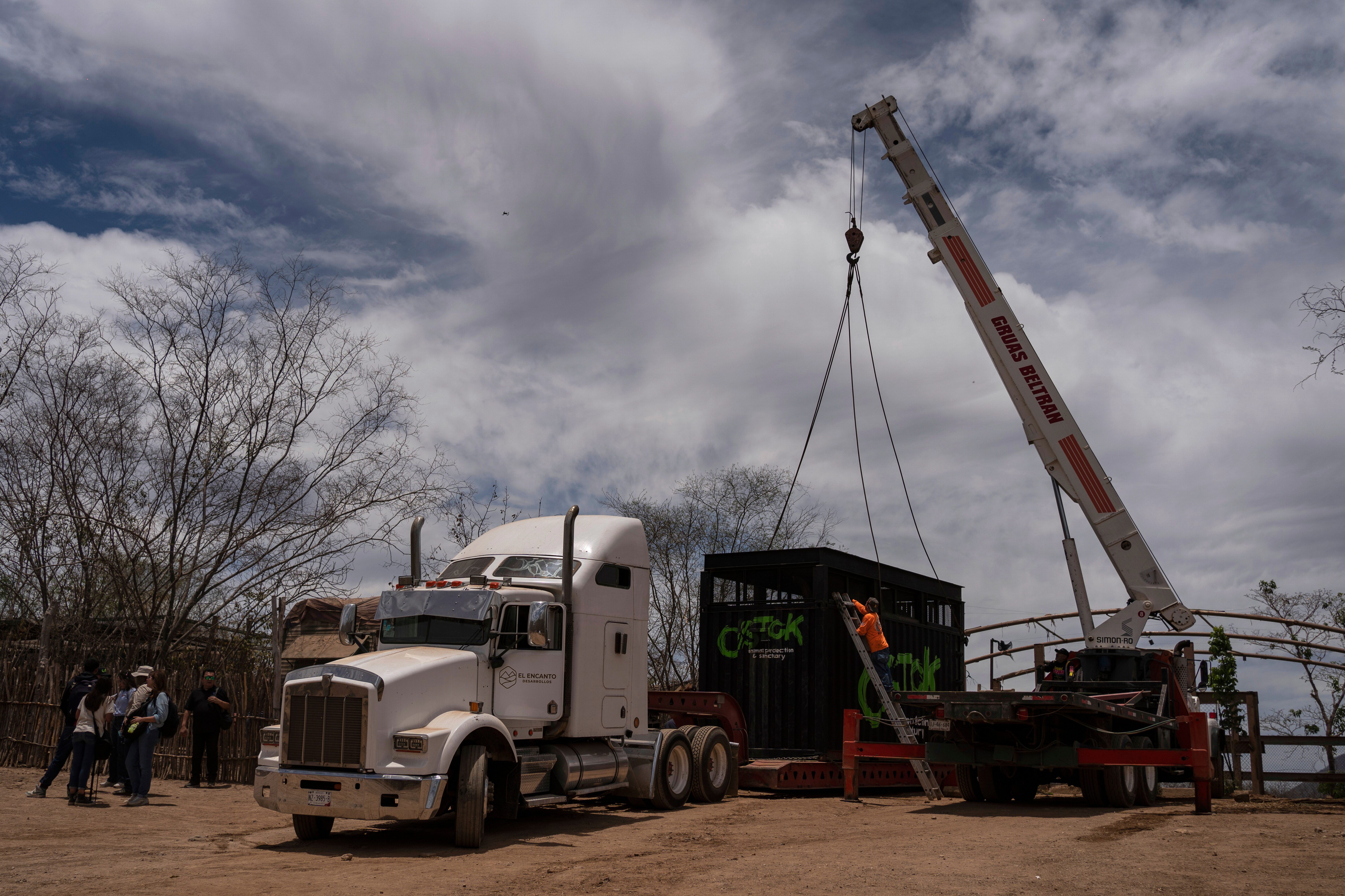 Επιχείρηση «ασφαλείας» για τα εξωτικά ζώα των καρτέλ του Μεξικού-2