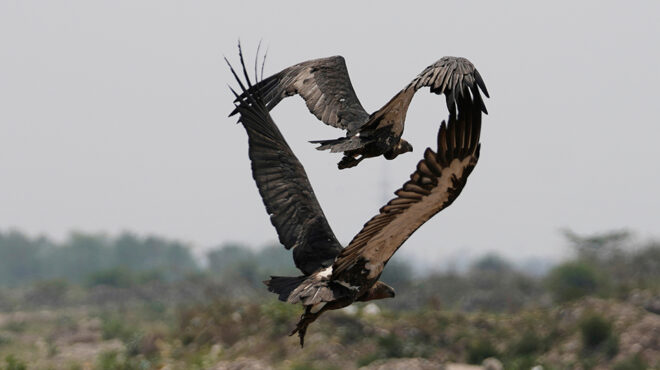 ερωτας-και-θάνατος-563634898