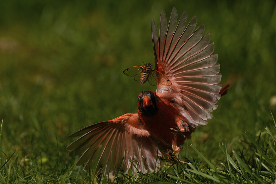 «Ακαυστα» σπίτια-2