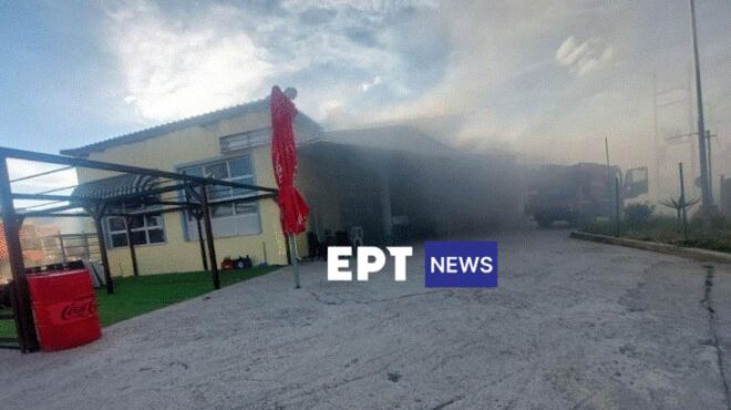 λέσβος-νεκρή-65χρονη-μετά-από-φωτιά-σε-σ-563643268