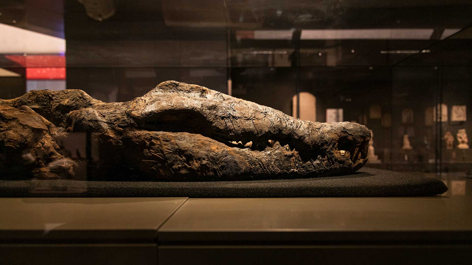 Kάιρο: Το Μεγάλο Αιγυπτιακό Μουσείο είναι (σχεδόν) εδώ -8