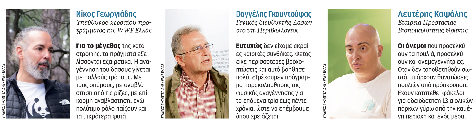 Η ελπίδα γεννιέται στη Δαδιά – Η «Κ» επισκέφθηκε την περιοχή και μίλησε με ειδικούς-2
