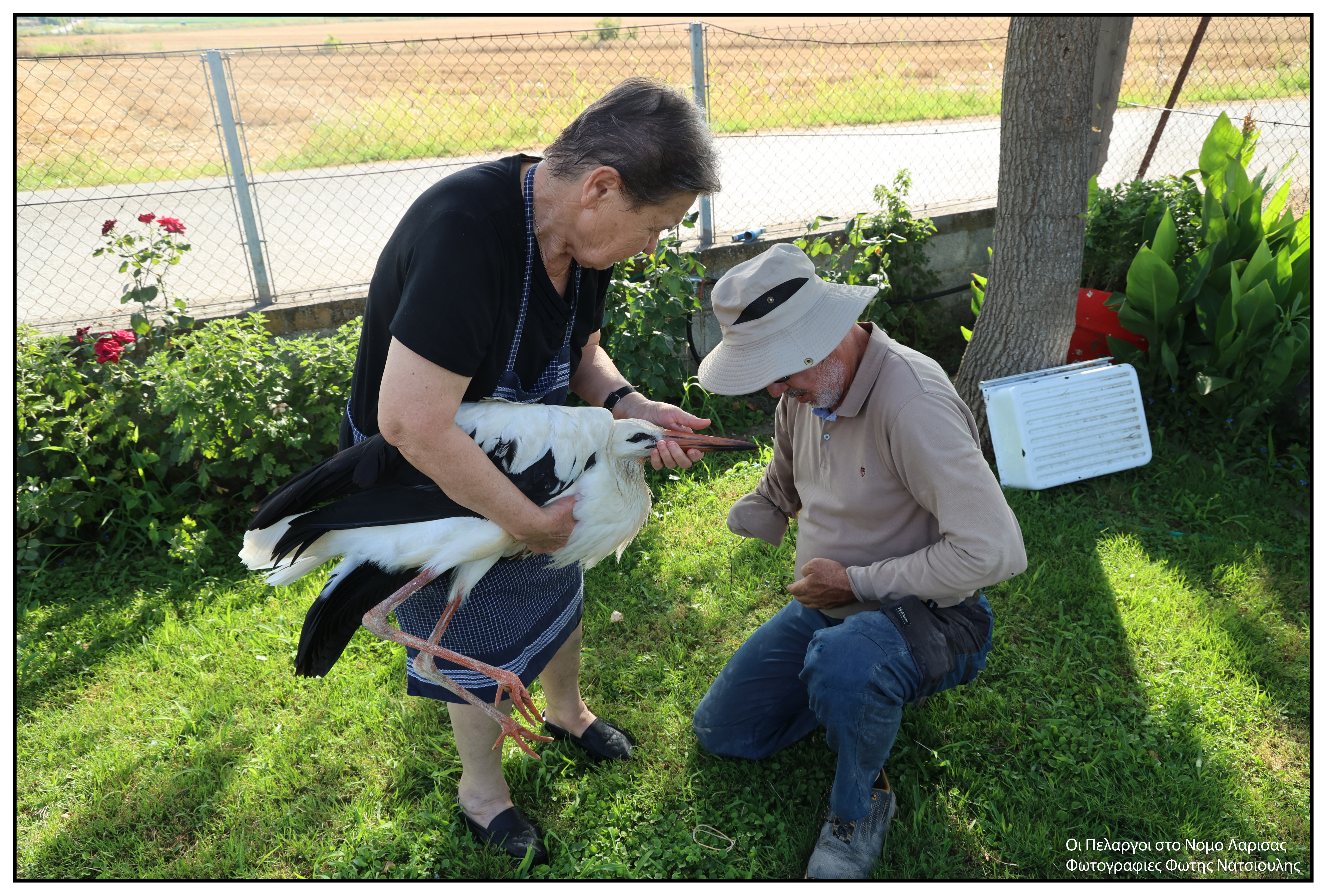 Το χωριό με τους 30 κατοίκους και τους 200 πελαργούς-17