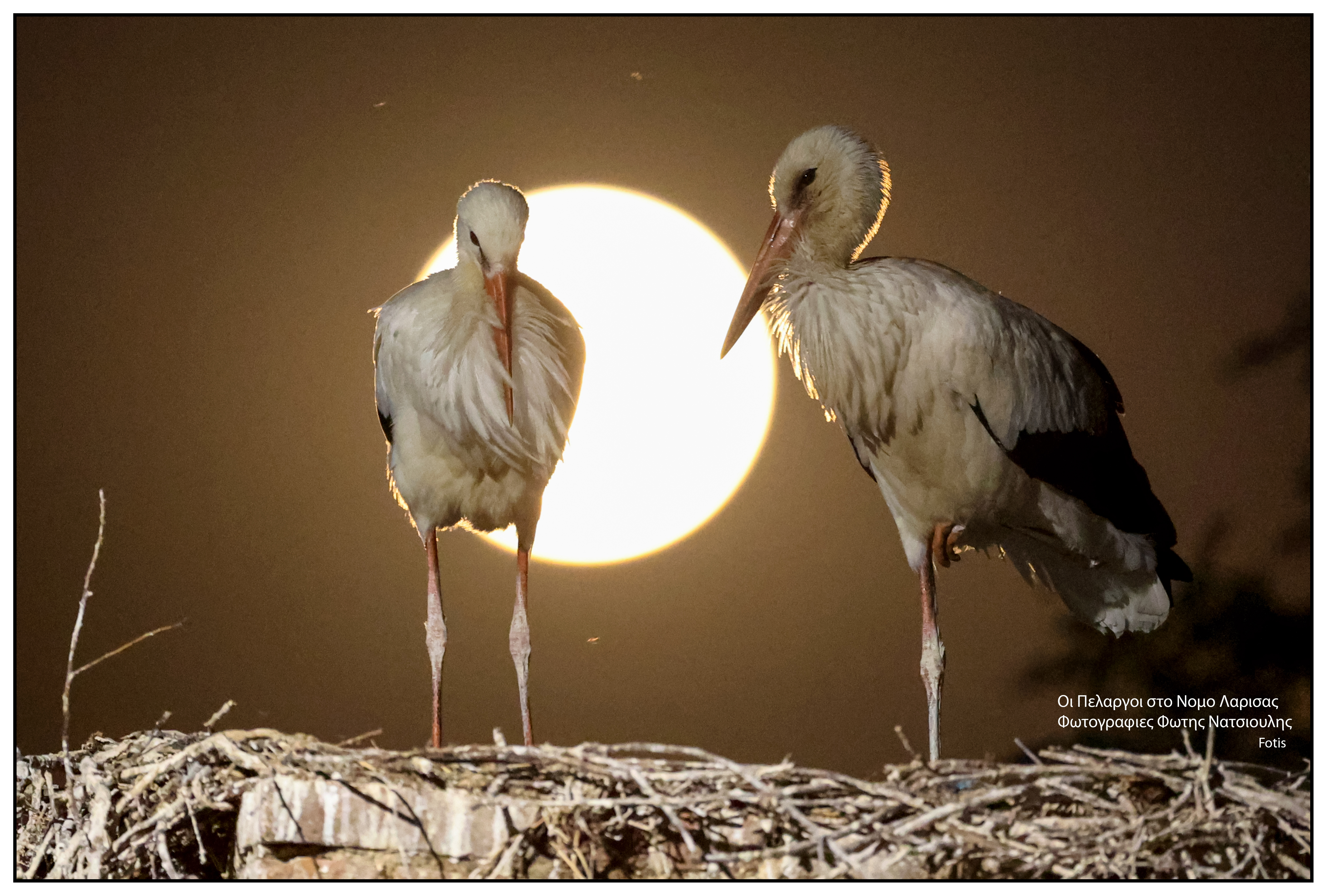Το χωριό με τους 30 κατοίκους και τους 200 πελαργούς-13