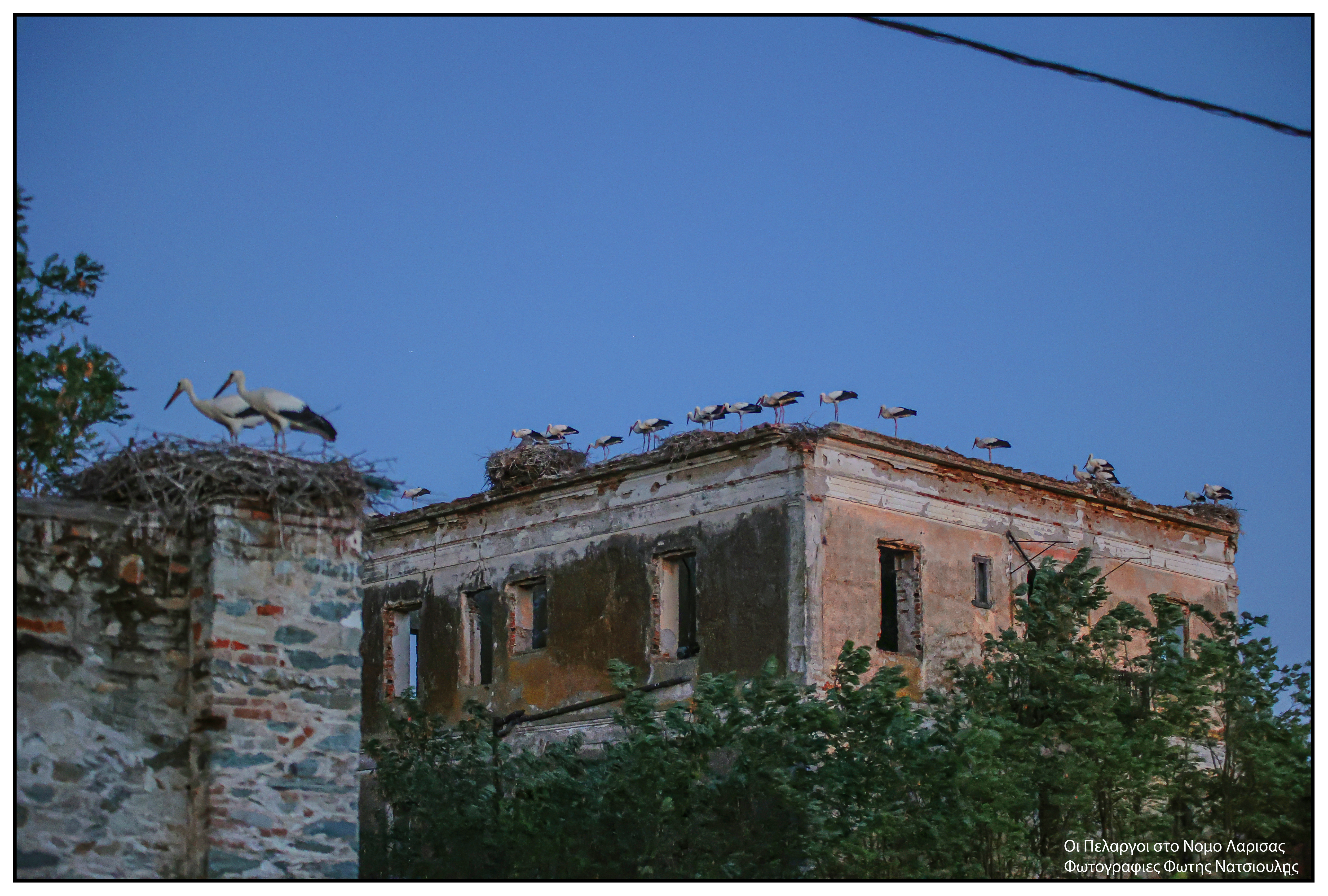 Το χωριό με τους 30 κατοίκους και τους 200 πελαργούς-7
