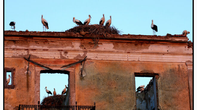 το-χωριό-με-τους-30-κατοίκους-και-τους-200-πε-563636725