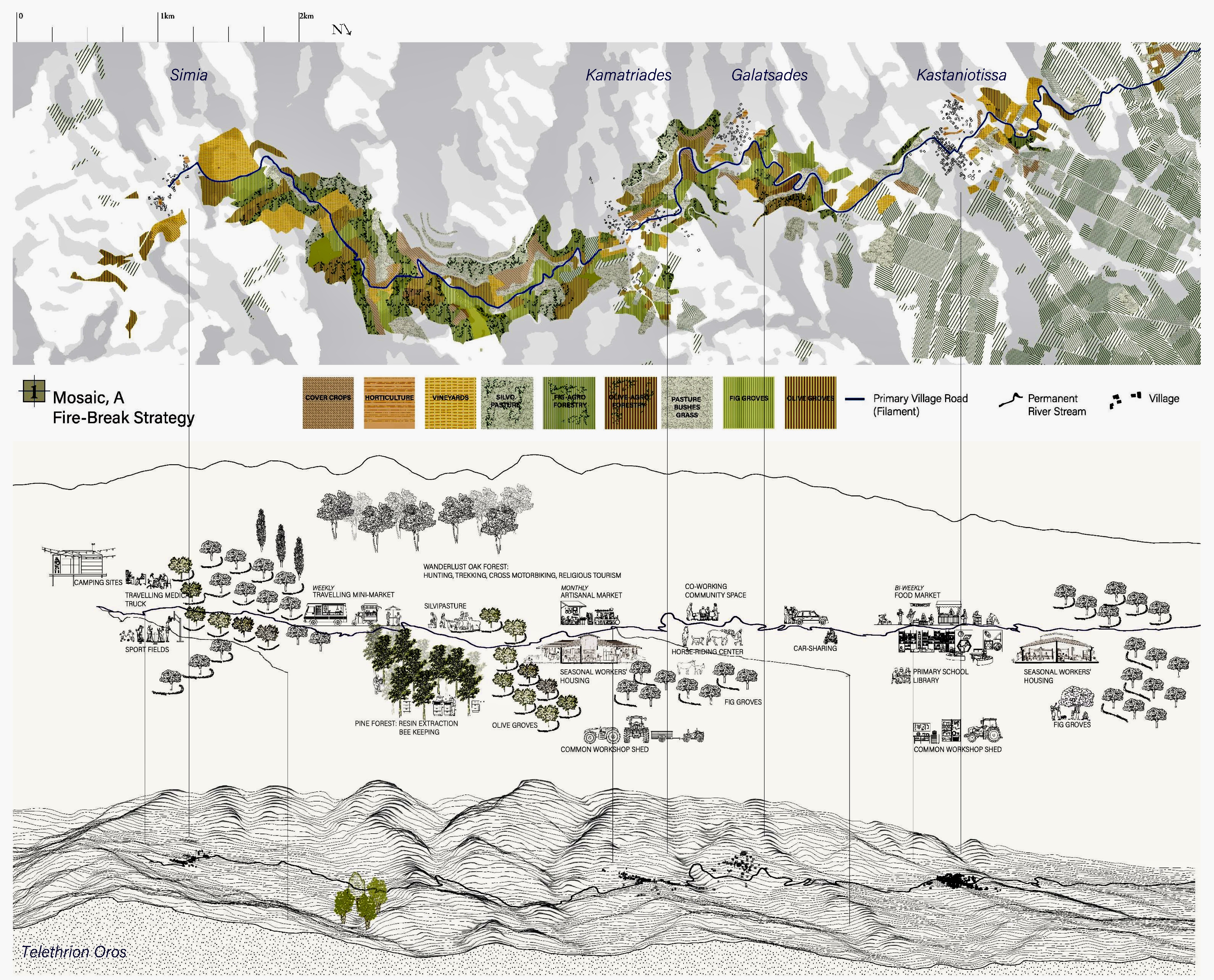Η βραβευμένη πρόταση για τα καμένα δάση της Βόρειας Εύβοιας-2