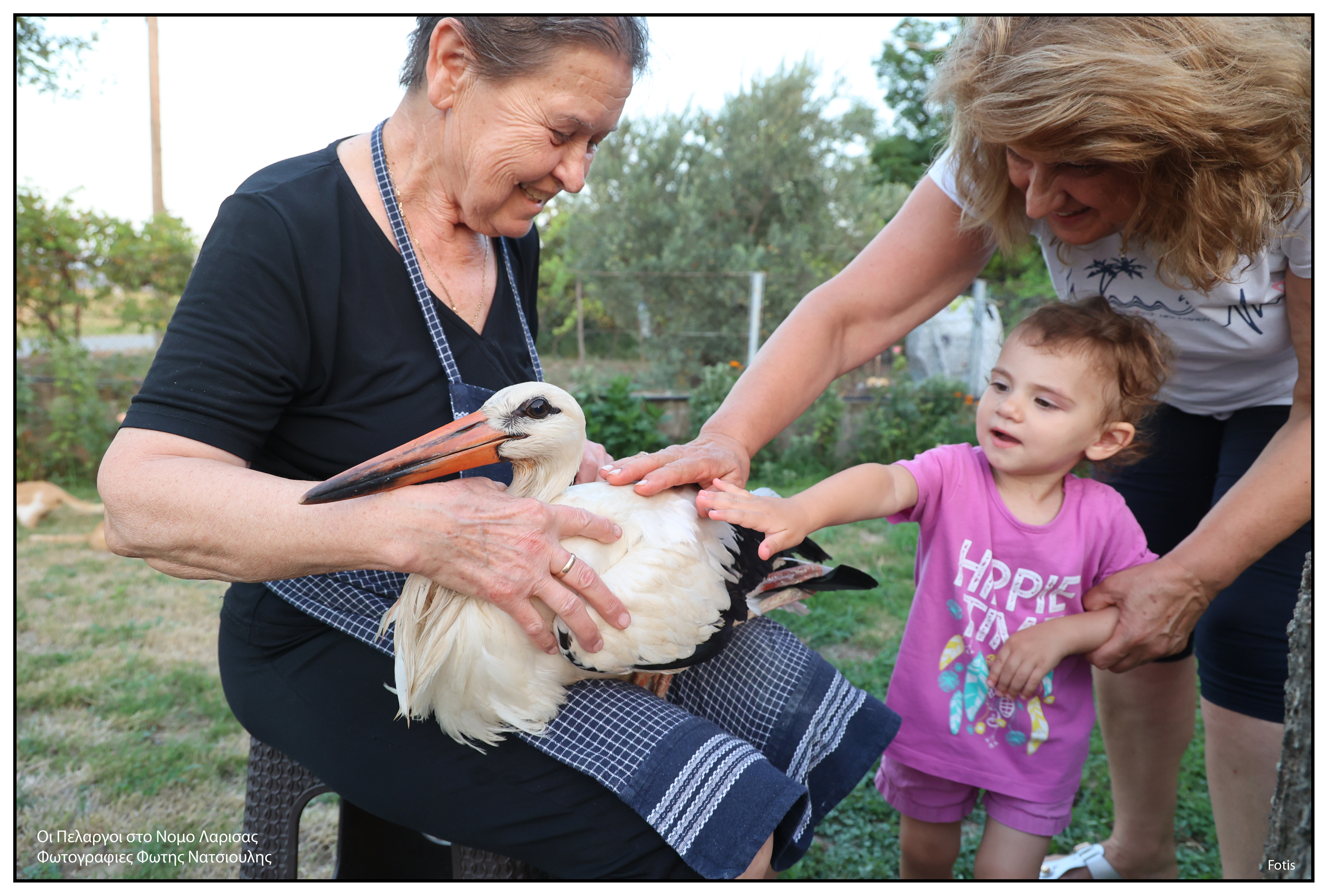 Το χωριό με τους 30 κατοίκους και τους 200 πελαργούς-11