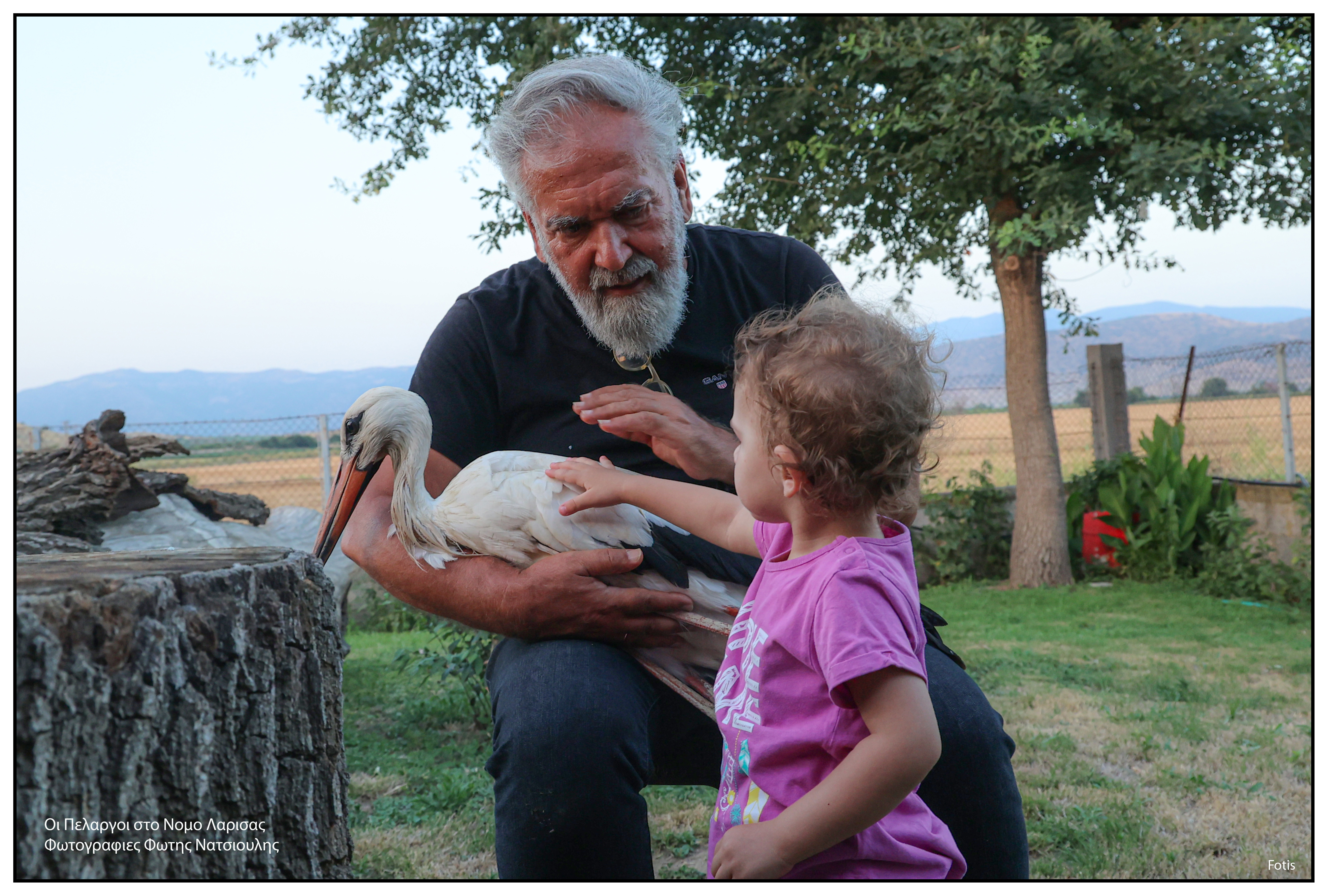 Το χωριό με τους 30 κατοίκους και τους 200 πελαργούς-2