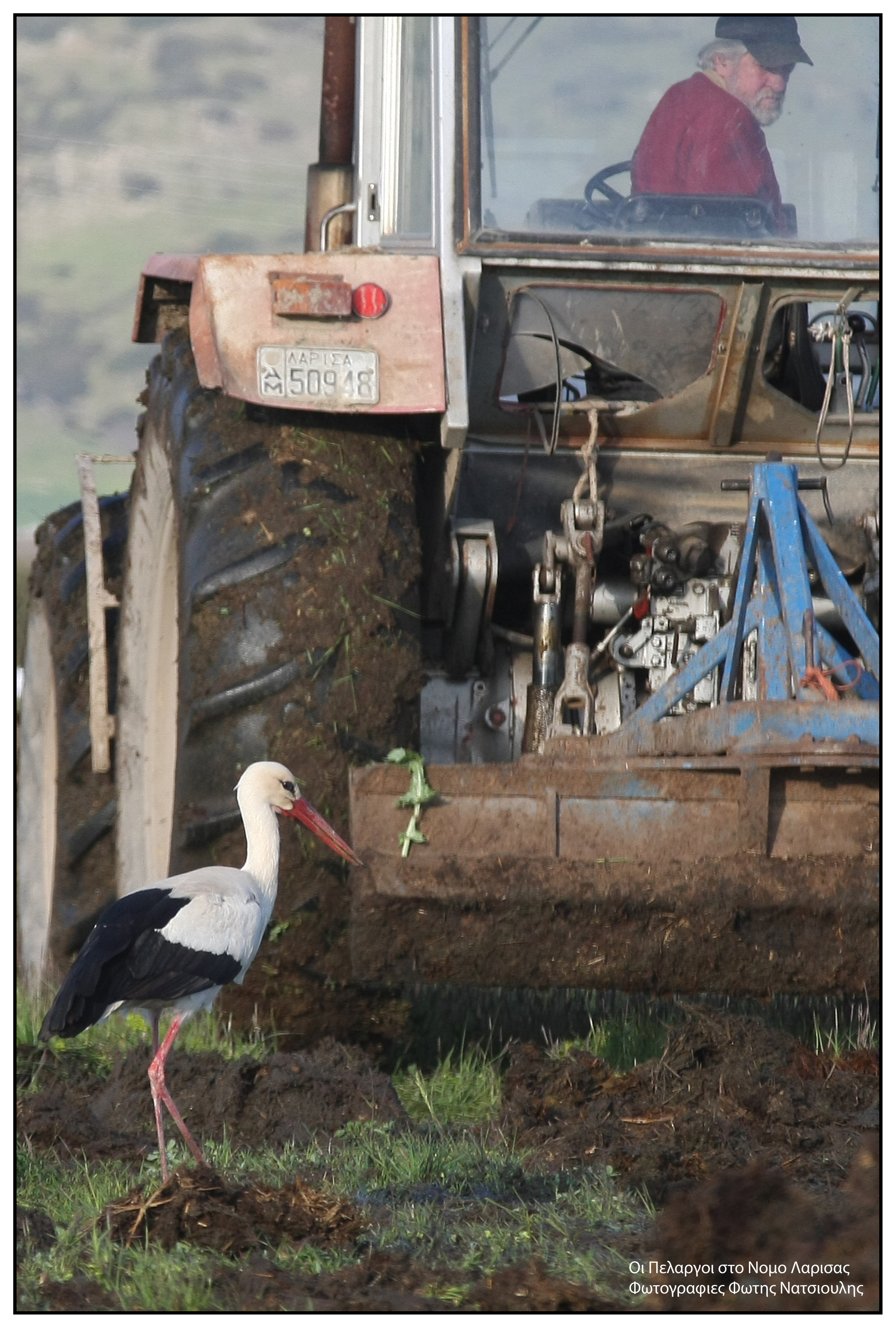 Το χωριό με τους 30 κατοίκους και τους 200 πελαργούς-9