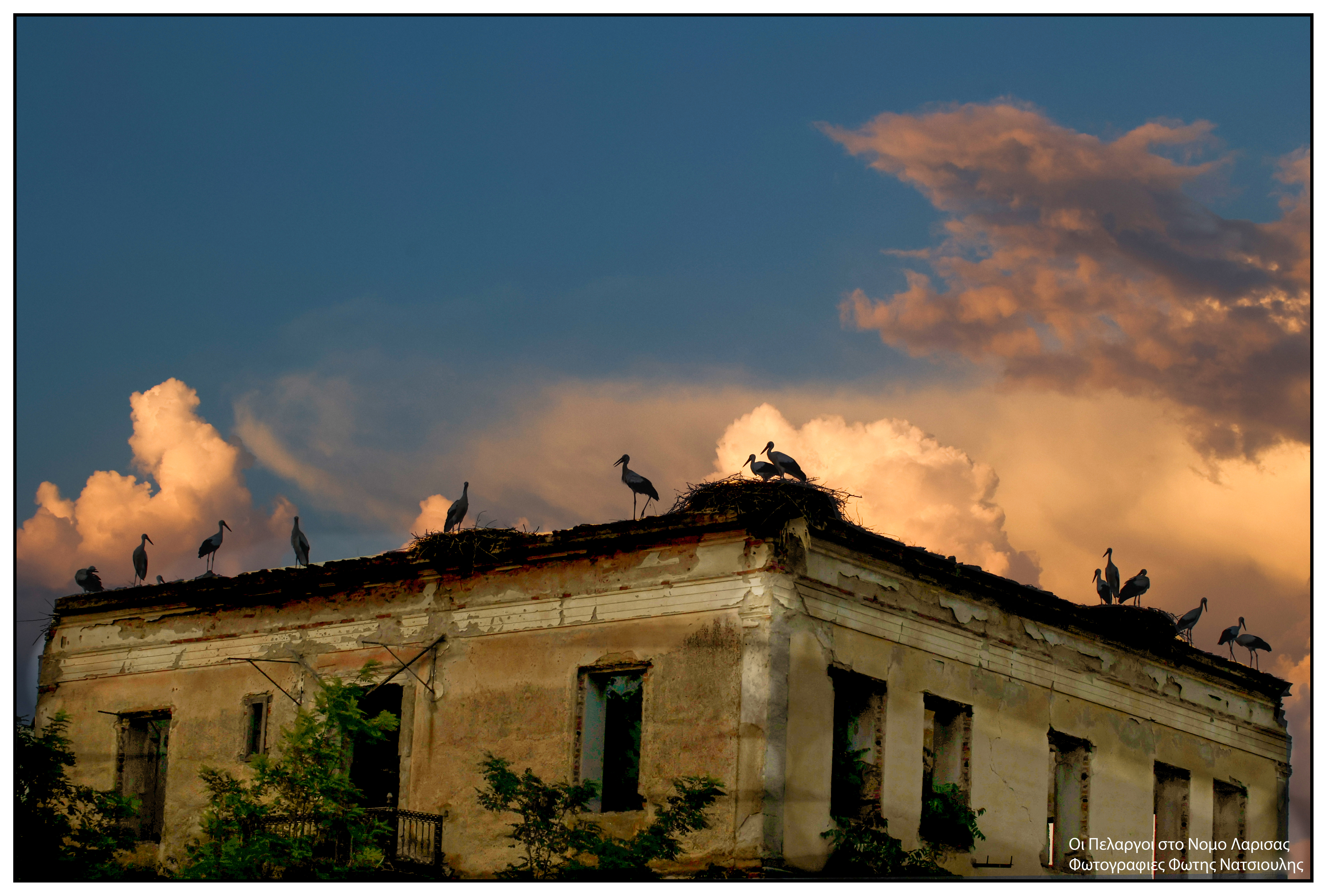 Το χωριό με τους 30 κατοίκους και τους 200 πελαργούς-1