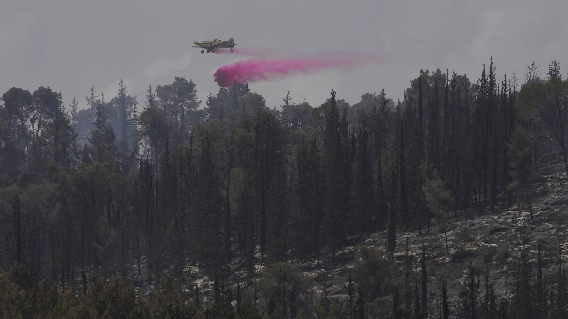 Ισραήλ: Μαίνονται οι πυρκαγιές, χώρες του εξωτερικού στέλνουν πυροσβεστικά αεροσκάφη-1