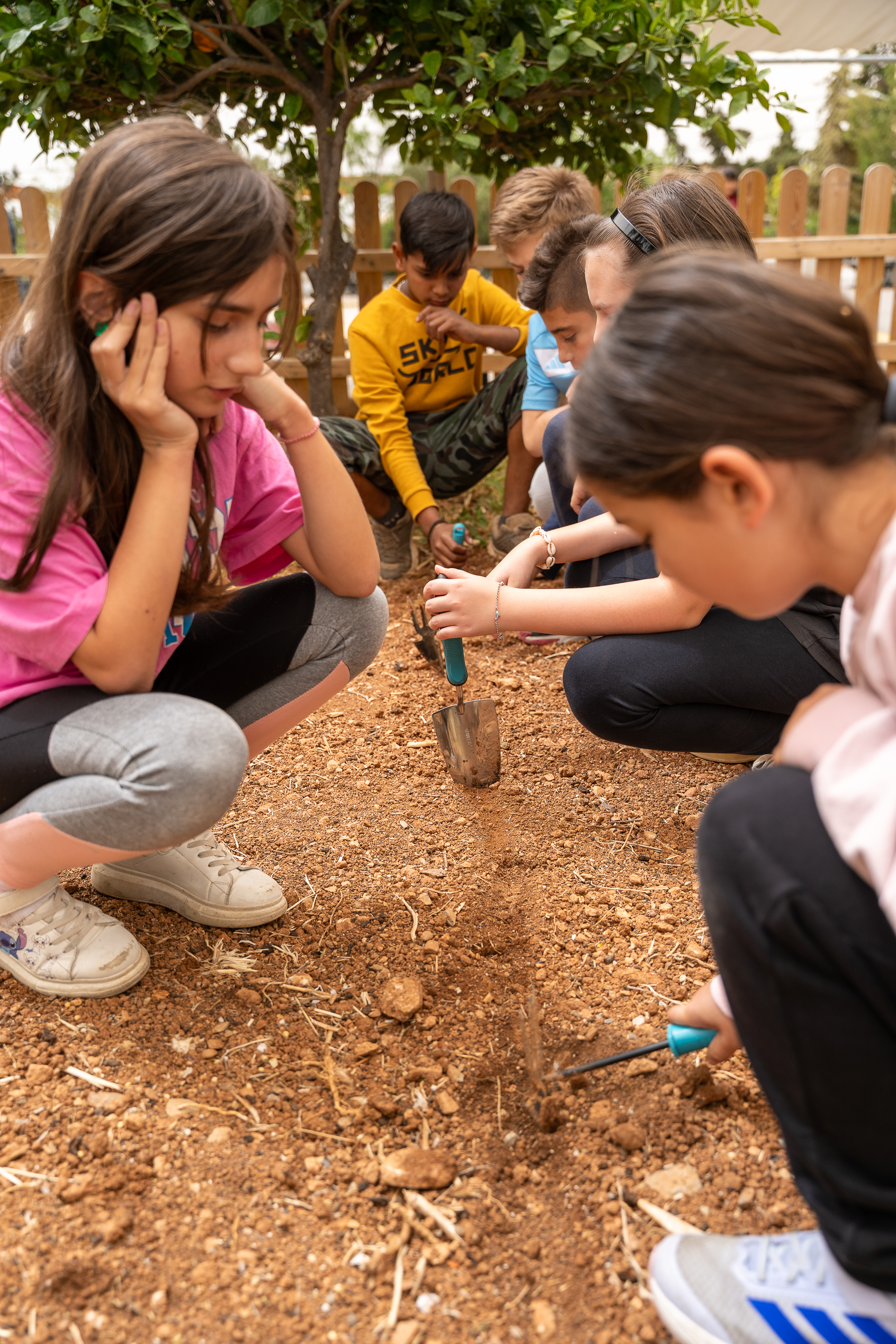 Τα σχολεία με τα περιβόλια-3