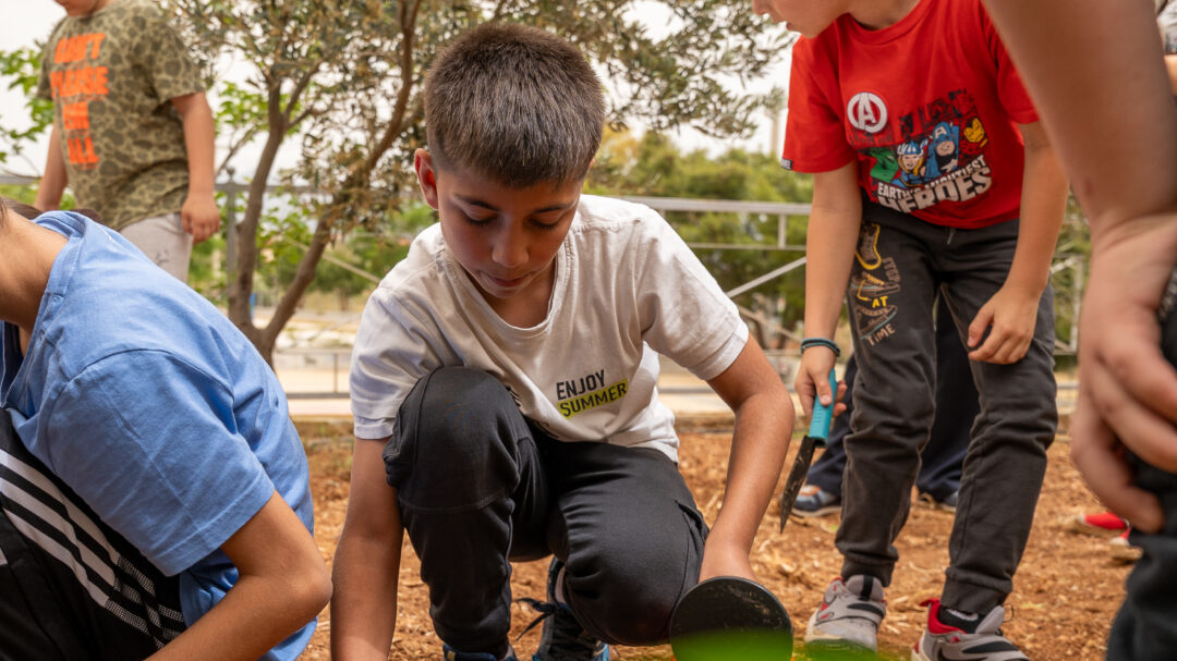 τα-σχολεία-με-τα-περιβόλια-563632705