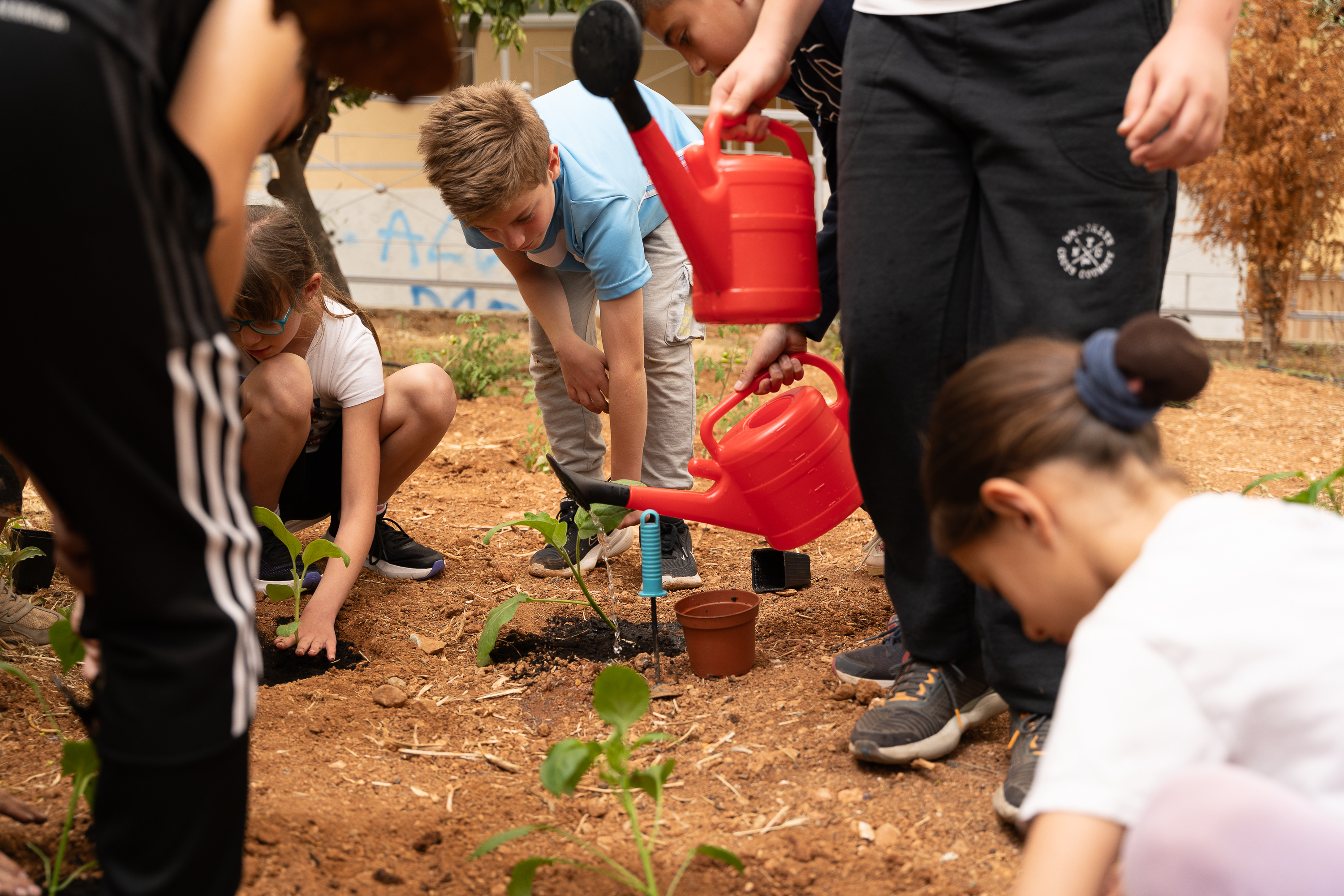 Τα σχολεία με τα περιβόλια-1
