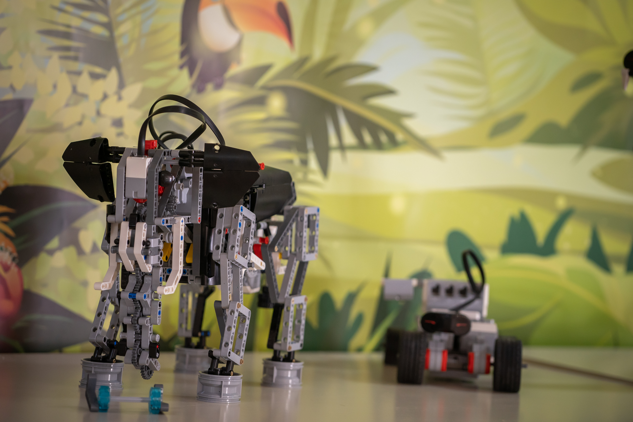 Summer camp με ρομποτική και κώδικα-1