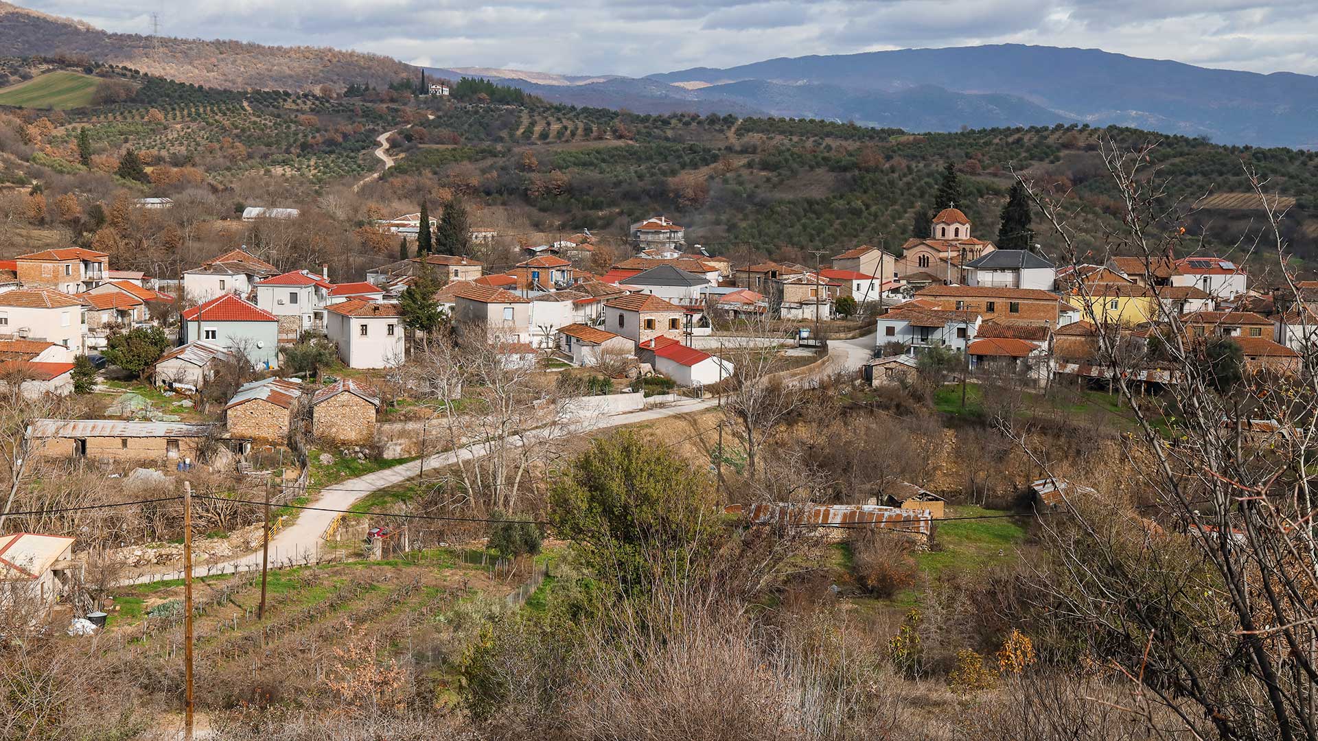 Μαθήματα φυσικής κτηνοτροφίας από την καρδιά της Θεσσαλίας-2