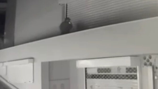 βίντεο-με-τη-δράση-του-διαρρήκτη-της-γλ-563618680