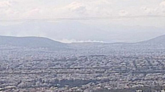 ασπρόπυργος-φωτιά-σε-χαμηλή-βλάστηση-563640742