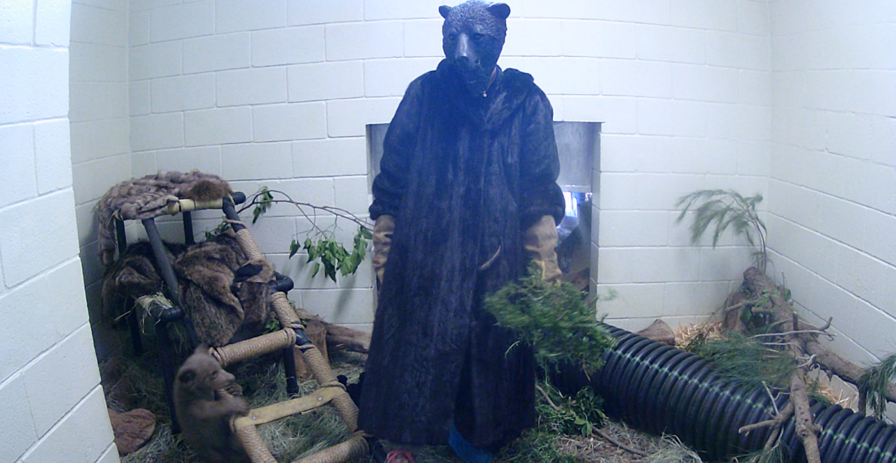 Το ορφανό αρκουδάκι που μεγαλώνει μέσα σε λούτρινα, γούνες και ανθρώπους ντυμένους… αρκούδες-7