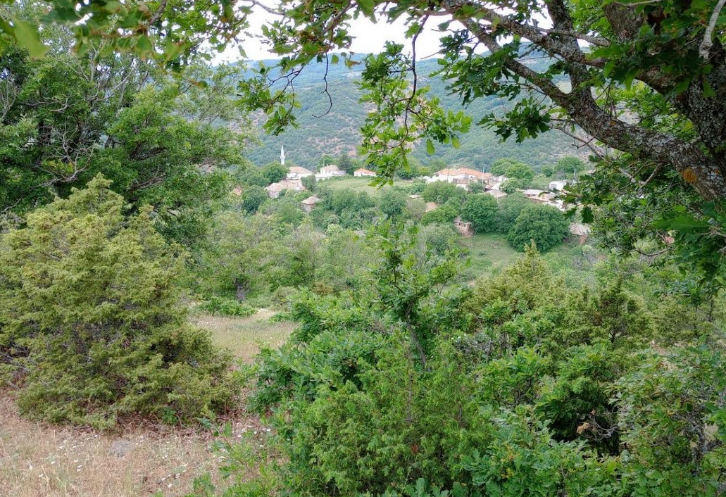 Ροδόπη: Βίντεο από το κρησφύγετο του Τούρκου που πυροβόλησε το κλιμάκιο της ΕΥΠ-2