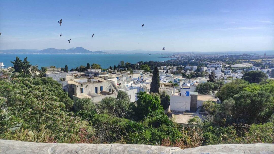 σίντι-μπου-σαΐντ-το-καταφύγιο-της-τυνη-563623849