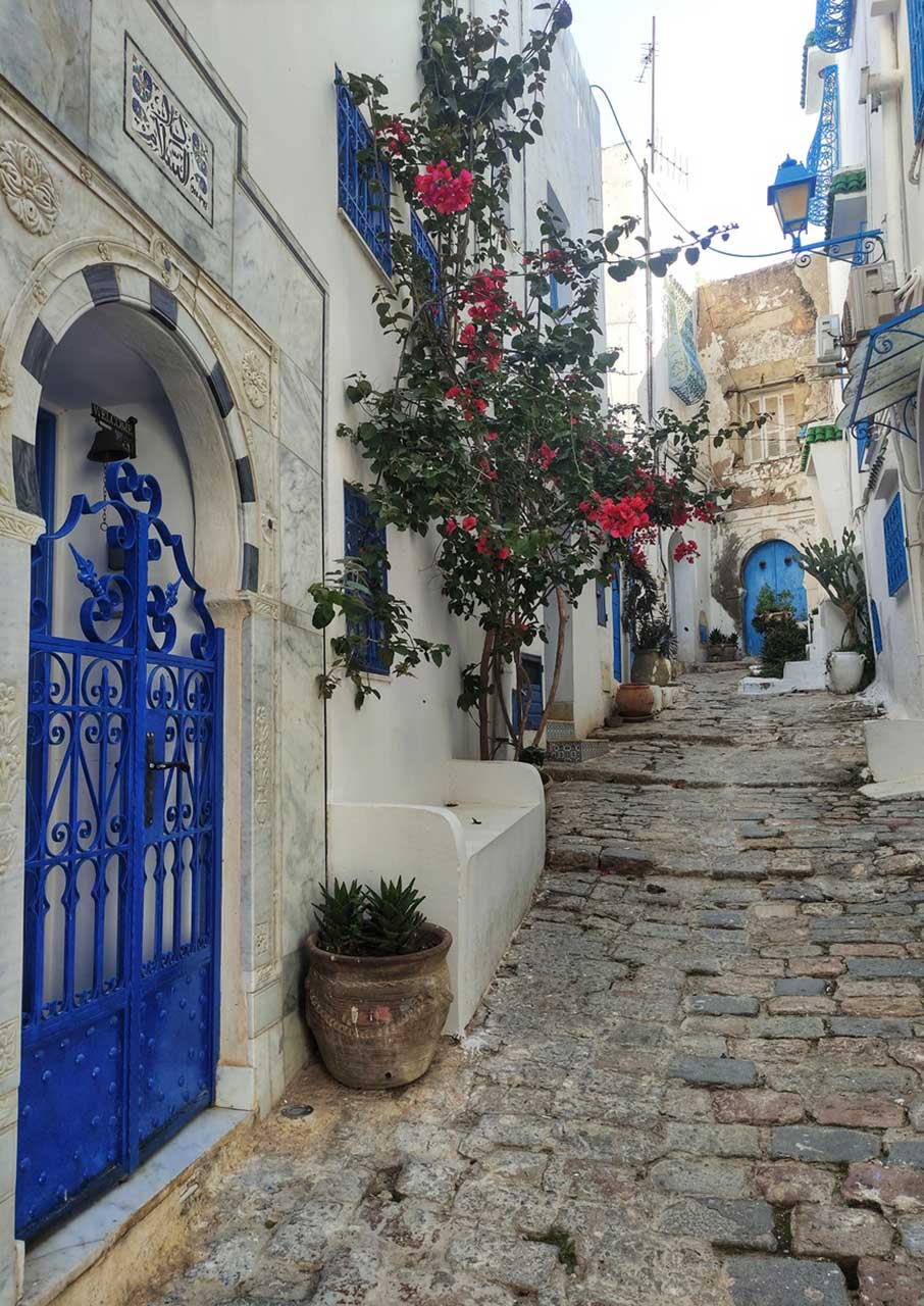 Σίντι Μπου Σαΐντ: Το καταφύγιο της Τυνησίας που θυμίζει Κυκλάδες-2