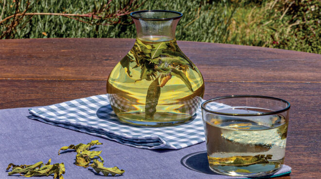 καλλίγραμμο-σώμα-με-πράσινο-τσάι-563634610