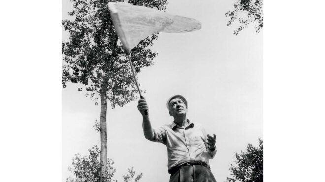 πρόσκληση-σε-μια-τρέλα-563613754