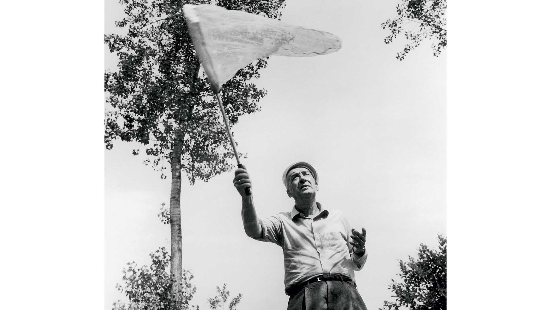 πρόσκληση-σε-μια-τρέλα-563613754