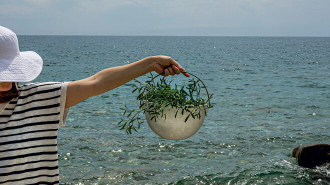 το-θαλασσινό-ορεκτικό-με-χωνευτική-563626648