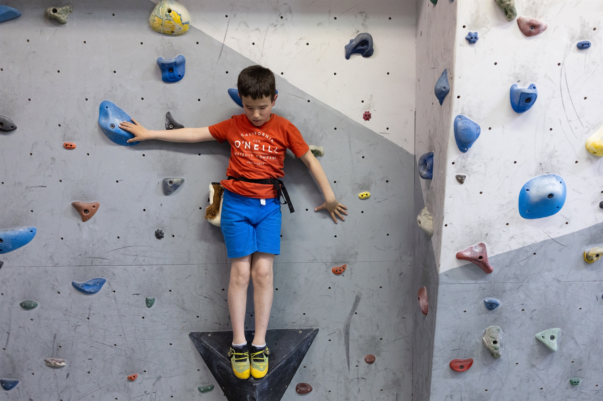 Αναρρίχηση στην κορυφή της συμπερίληψης-1